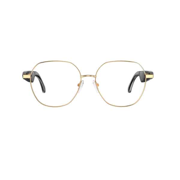 AI smart glasses
